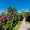 Sentiero tra palme e fiori con edificio moderno a destra.