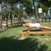 Persona fa esercizi su una panchina in un parco alberato.