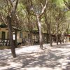 Riviera Camping Village (AN) Marche