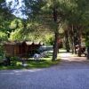 Chalet di legno in un campeggio immerso tra alberi.