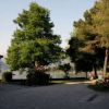 Un viale alberato costeggia un edificio con tetto rosso vicino a un lago lontano.