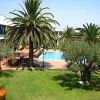 Un giardino con palme, piscina e sedie a sdraio su un prato verde.