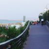Pista ciclabile lungo una spiaggia con fiori.