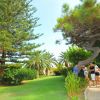 Persone in un giardino con palme e alberi.