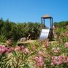 Un parco giochi con scivolo, circondato da piante fiorite e cielo blu.