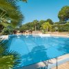 Piscina all'aperto circondata da piante e alberi sotto un cielo blu.