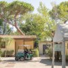 Hawaii Camping Internazionale (GR) Toscana