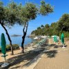 Sentiero sabbioso con alberi e ombrelloni verdi chiusi, vista mare.