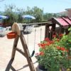 Giardino con altalena di legno, fiori rossi e tavoli con ombrelloni sullo sfondo.
