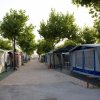 Sentiero con tende e alberi nei due lati.