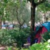 Tenda da campeggio blu e fucsia in una zona alberata.
