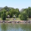 Un lago con salici e aree picnic sulla riva erbosa.