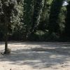Radura con alberi ombrosi.