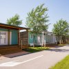 Chalet moderni lungo una strada alberata.